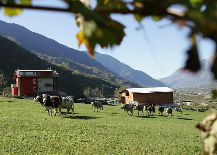 Agriturismo Stella Orobica